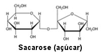 Estrutura da sacarose (glicose + frutose)