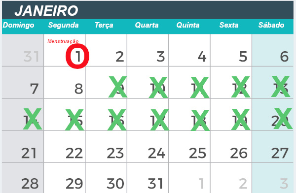 O X verde na figura indica o período fértil da mulher.