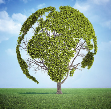 O Dia Mundial do Meio Ambiente é comemorado no dia 05 de junho.