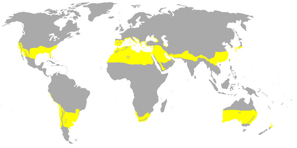 Mapa com áreas subtropicais do planeta