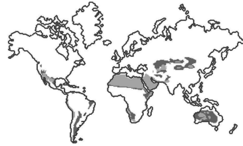 Mapa-múndi em que estão destacadas regiões desérticas