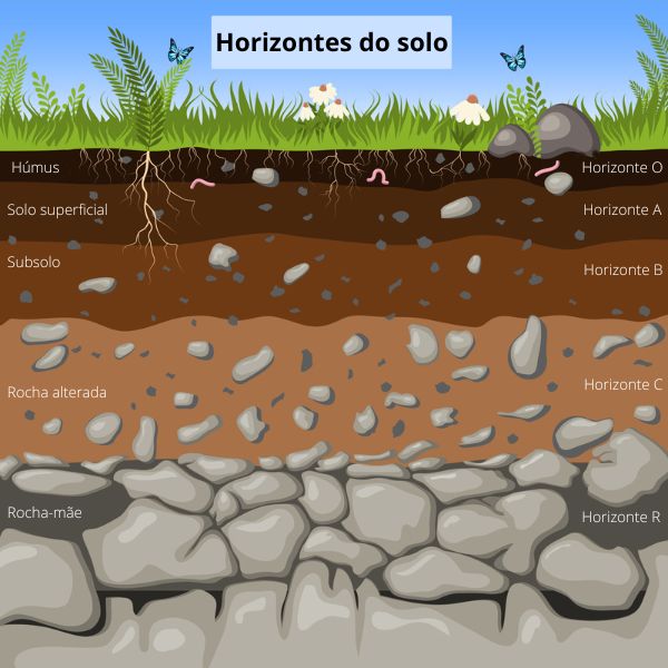 Exemplo de perfil de solo com a identificação de seus horizontes.