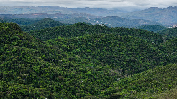 Vista da Mata Atlântica, um exemplo de floresta tropical.