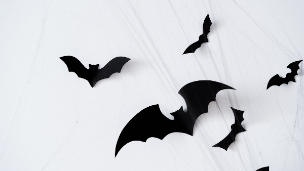 Imagens de morcegos grandes e pequenos