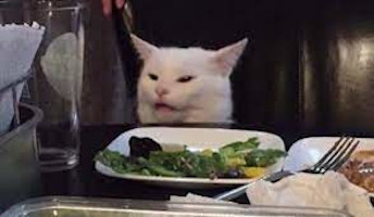 Meme gato com raiva em cadeira de restaurante