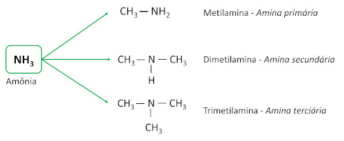 Exemplos de estrutura de amina primária, secundária e terciária.