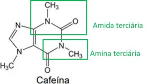 Identificação de amida e amina em estrutura química da cafeína.