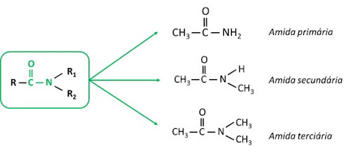  Exemplos de estrutura de amida primária, secundária e terciária.