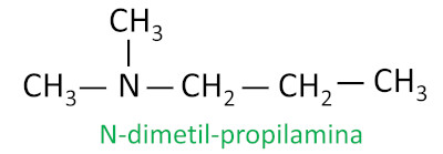  Estrutura química da n-dimetil-propilamina