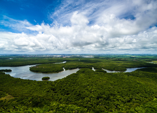 Parte da planície amazônica, no Norte do Brasil.