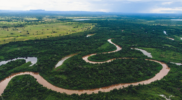Vista do rio Paraguai e vegetação do Pantanal ao redor.
