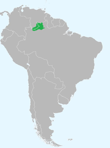 Mapa da América do Sul apontando a localização das terras yanomamis, no Brasil e na Venezuela.