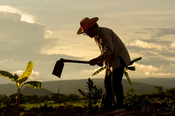 Homem cultivando a terra com uma enxada, uma prática estudada em geografia agrária.