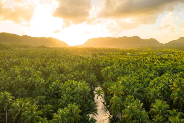 Clima tropical de altitude: aspectos gerais - Mundo Educação