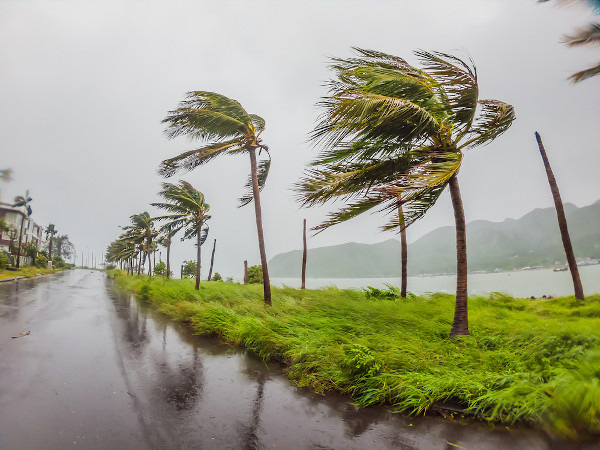 Região com fortes chuvas e ventos, alguns dos efeitos resultantes da formação de um ciclone extratropical.
