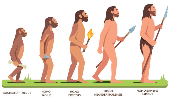 Esquema ilustrativo da evolução do homem por meio de uma visão de progressão.