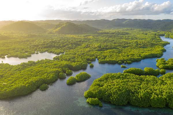 Região da Floresta Amazônica como representação da Geografia ambiental no Brasil.