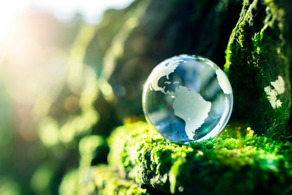 Globo terrestre transparente em um ambiente de vegetação como representação da Geografia ambiental.