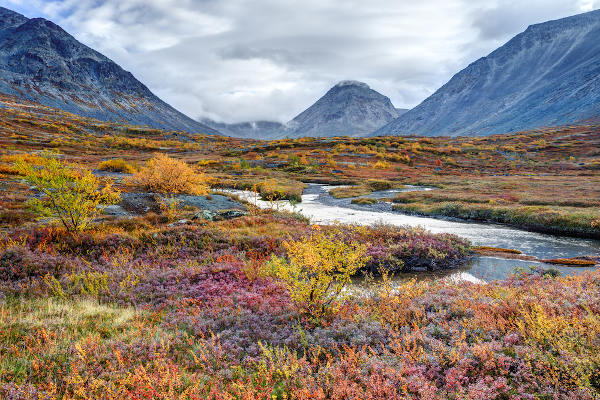 Paisagem fria com montanhas e vegetação rasteira, típica da tundra.
