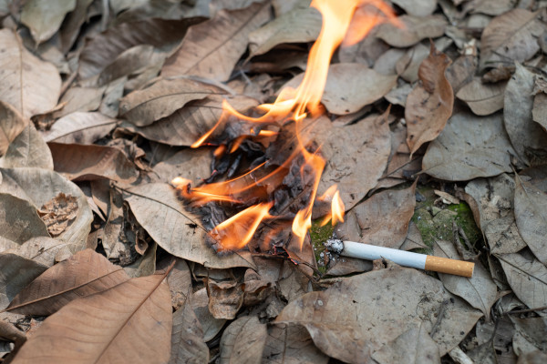 Cigarro caído sobre folhagem seca provocando fogo.