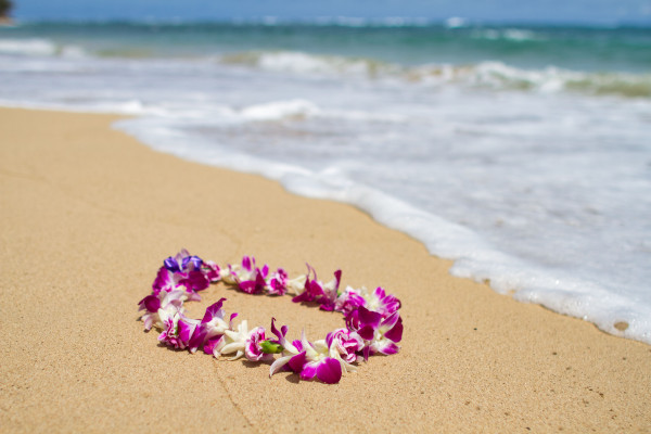 Tradicional colar de flores havaianas (lei) sobre a areia de uma praia no Havaí.