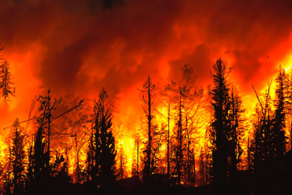 Apague o fogo com um balde de água. incêndios florestais no verão