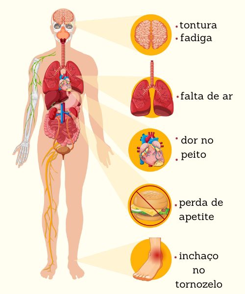 Os sintomas da insuficiência cardíaca podem atingir diferentes regiões do corpo.