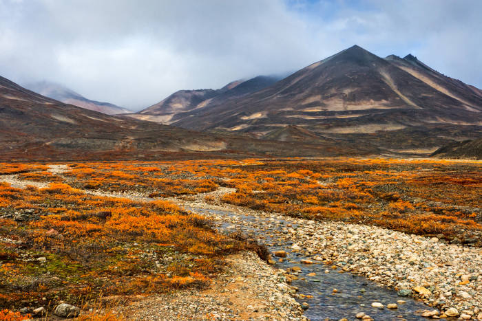 Região de ocorrência do bioma Tundra, um dos biomas do mundo.