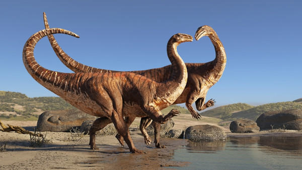 Representação gráfica de um casal de dinossauros, animais predominantes na Terra durante o Período Jurássico.