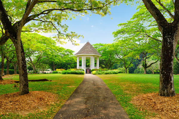 Milhares de espécies de plantas constituem o Jardim Botânico de Singapura.
