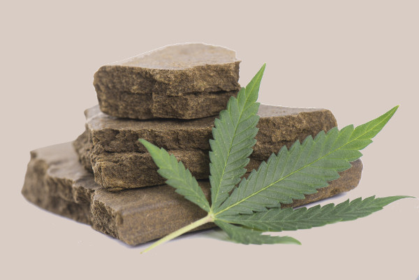 Folha da planta Cannabis sativa, mesma planta usada para produzir a maconha, encostada em um conjunto de blocos de haxixe.