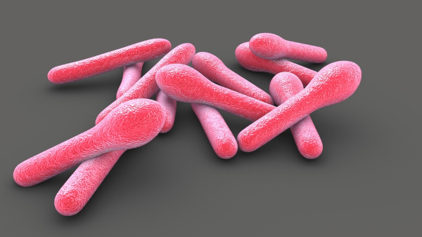 Representação 3D da bactéria causadora do botulismo.