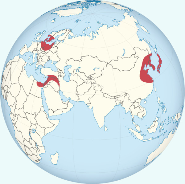 Regiões no globo terrestre onde ocorreu sedentarização