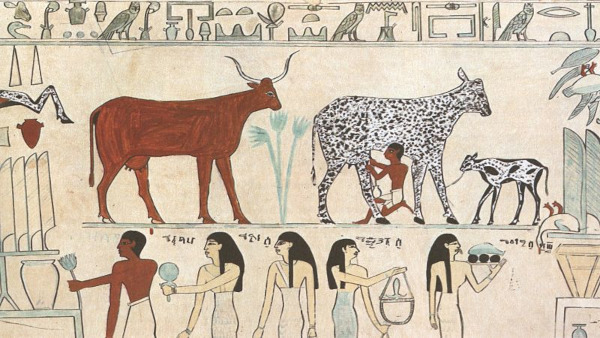 Gravura egípcia mostrando dois efeitos da sedentarização: cultivo de plantas e domesticação de animais.