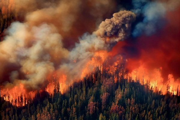 Incêndio florestal, acontecimento que leva às consequências do aquecimento global.