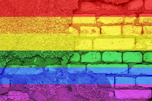 Muro com as cores da comunidade LGBTQIA+ em texto sobre homofobia.