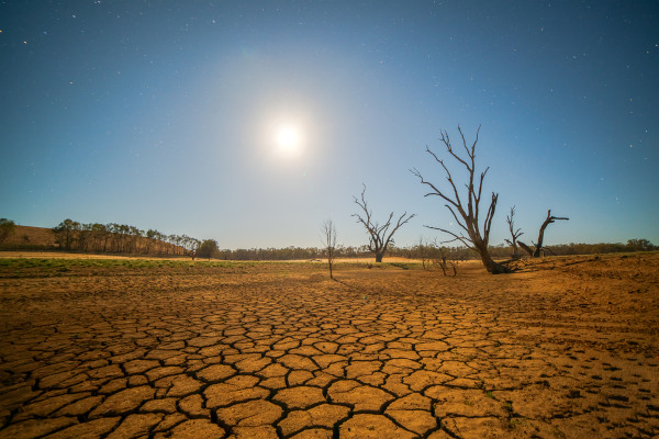 Solo que sofreu desertificação, uma das consequências do aquecimento global.
