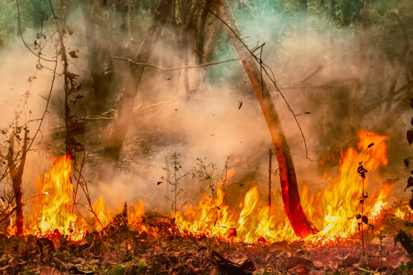 Queimada realizada após desmatamento na Floresta Amazônica, duas das causas do aquecimento global no Brasil.