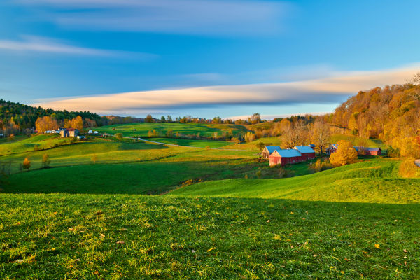 Paisagem verde com poucas casas em zona rural.