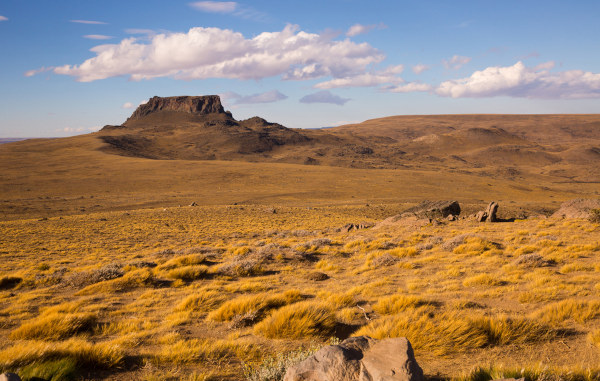Estepe, um dos tipos de vegetação do mundo.