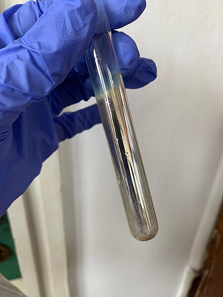 Mão com luva segurando um vidro de laboratório com teste para aldeído, feito com reagente de Tollens.