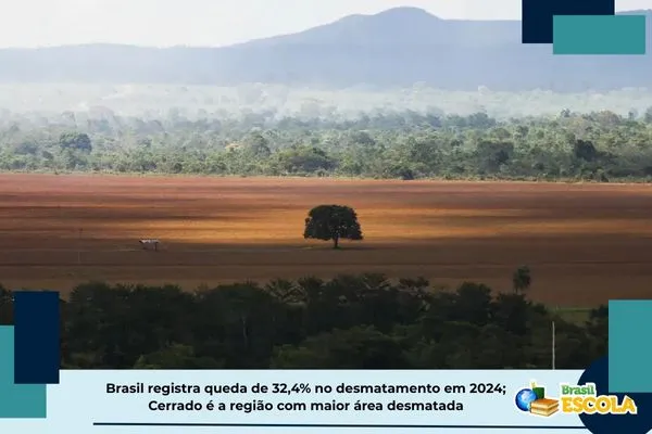 Desmatamento