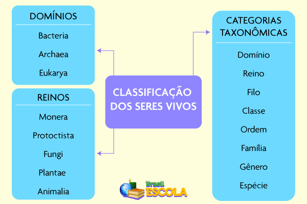 Classificação dos seres vivos em 3 domínios.