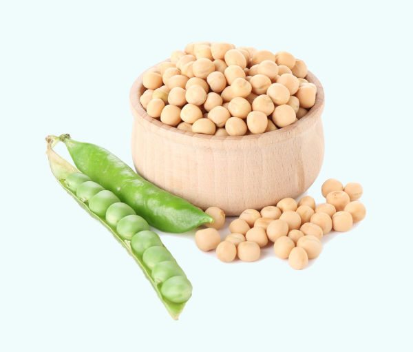 Vagem de ervilha verde e pote com grãos-de-bico, alimentos de origem vegetal.