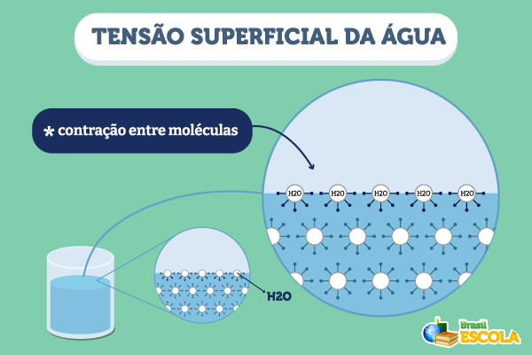 Esquema ilustrativo da tensão superficial da água. [imagem_principal] tensao-superficial-agua-exemplo tensao-superficial-agua