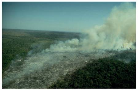 Fotografia de queimada realizada no bioma Amazônia em exercício da Uema.
