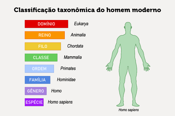 Taxonomia dos seres humanos.