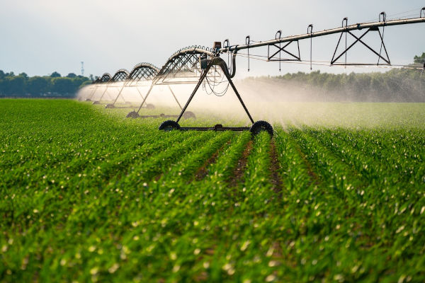 Prática de agricultura, situação de grande consumo de água, o que contribui para sua escassez em outros contextos.
