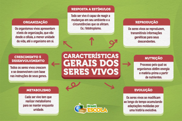 Mapa mental sobre as características gerais dos seres vivos. Créditos: Isa Galvão | Brasil Escola. 