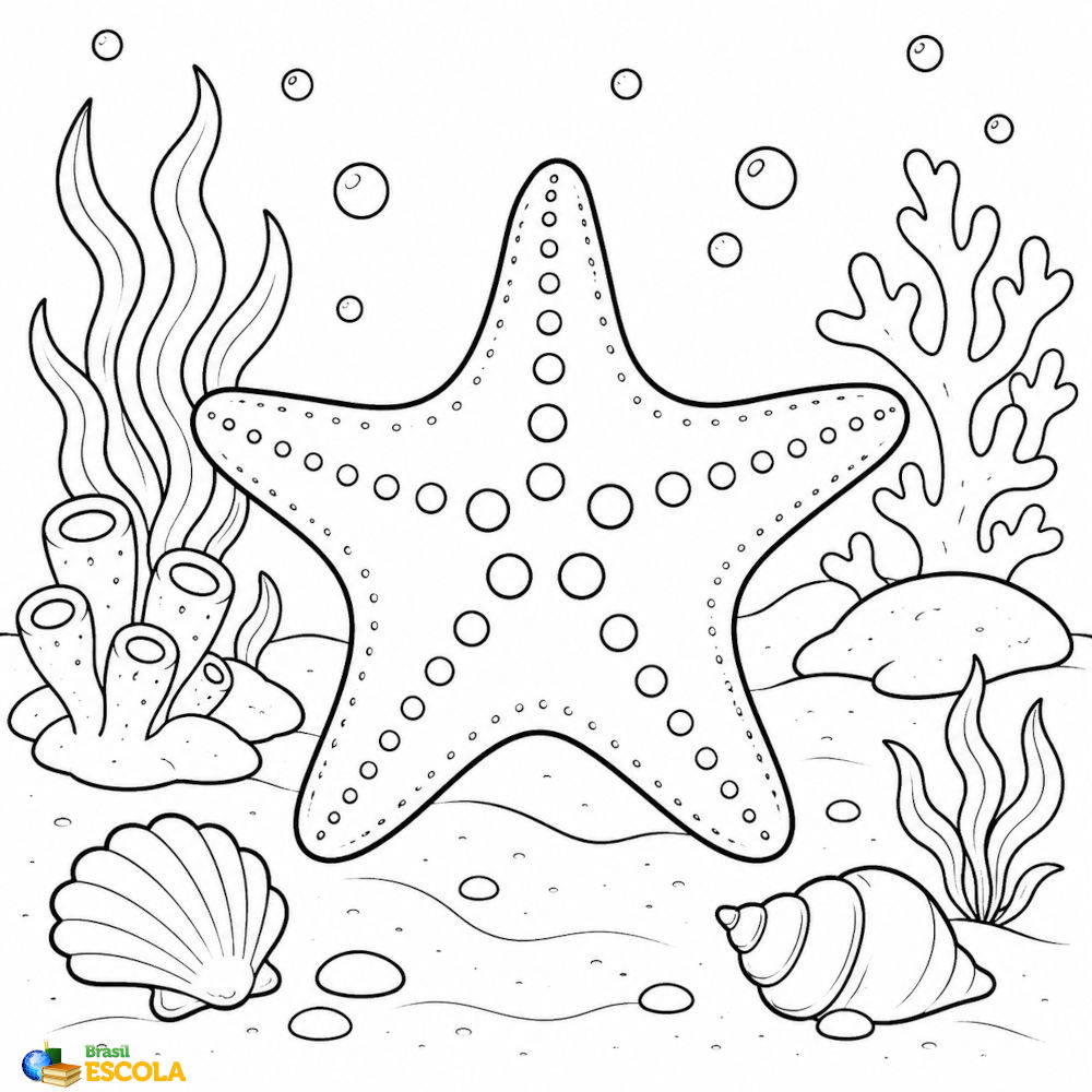 desenho de estrela do mar para imprimir e pintar